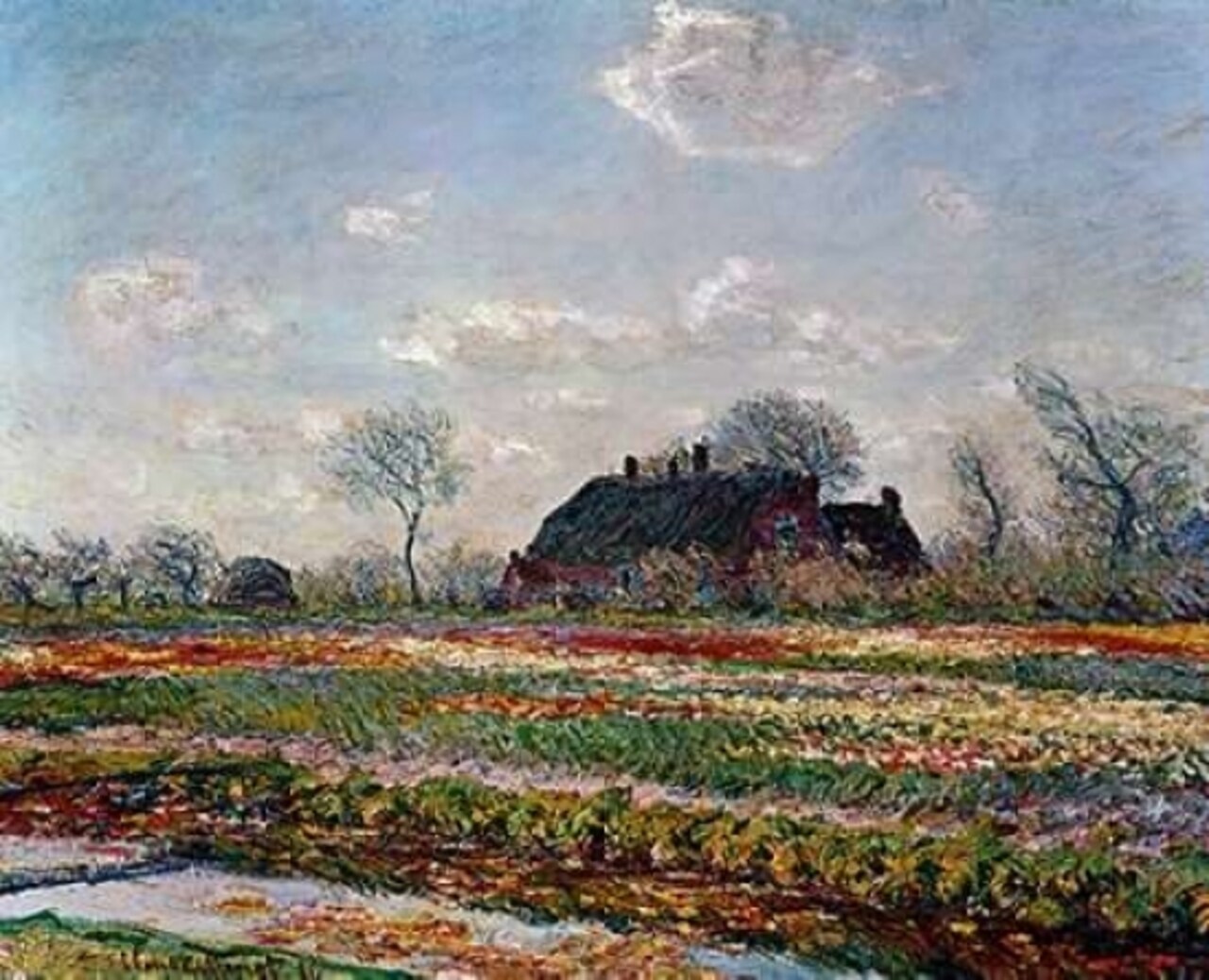 Tulip Field Sassenheim Poster Print by Vincent Van Gogh - Item # VARPDX374574